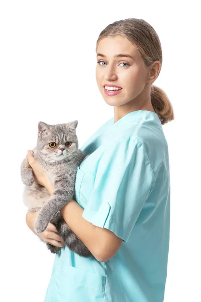 Ветеринар с симпатичной кошкой на белом фоне — стоковое фото