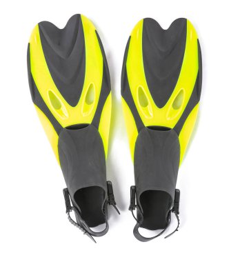 Beyaz arka planda yüzgeçli yüzgeçler