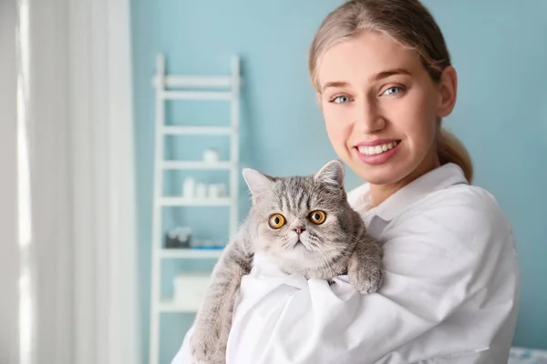 Veterinarian with cute cat in clinic — Stock Photo, Image