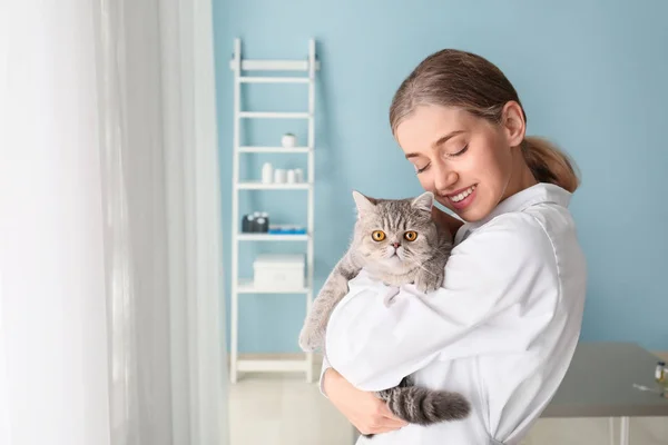 Veterinarian with cute cat in clinic — Stock Photo, Image