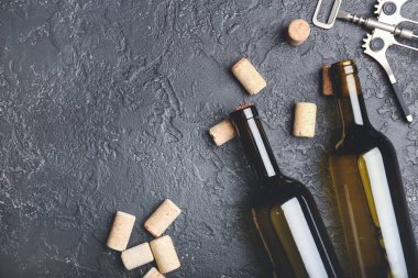 Mantarlı şarap şişeleri ve koyu arkaplanda açacağı.