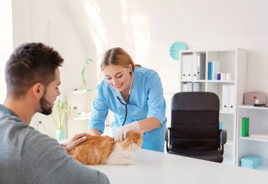 Klinikteki veterineri ziyaret eden kedi sahibi.