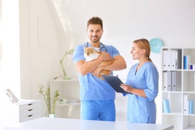 Klinikte sevimli kedileri olan veterinerler.