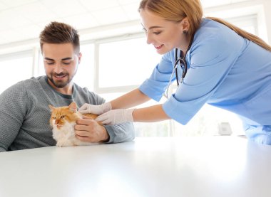 Klinikteki veterineri ziyaret eden kedi sahibi.