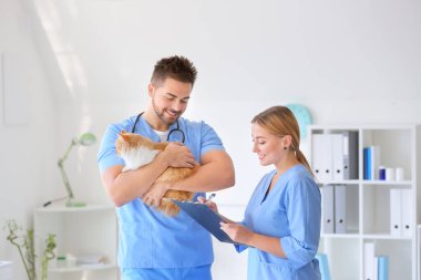 Klinikte sevimli kedileri olan veterinerler.