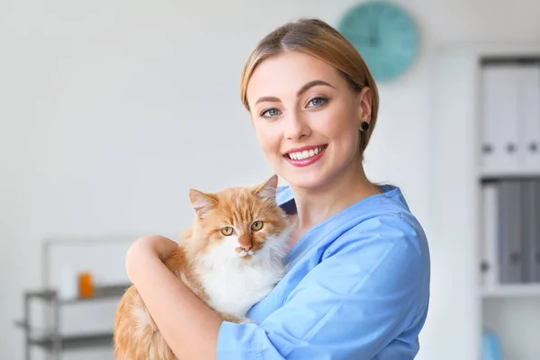 Žena veterinární lékař s roztomilou kočkou na klinice — Stock fotografie