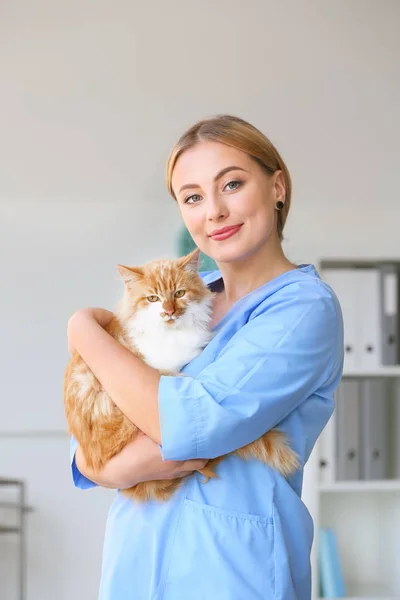 Žena veterinární lékař s roztomilou kočkou na klinice — Stock fotografie