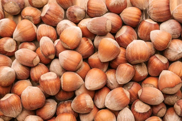 Many tasty hazelnuts as background — ストック写真