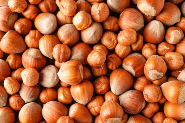 Many tasty hazelnuts as background — ストック写真