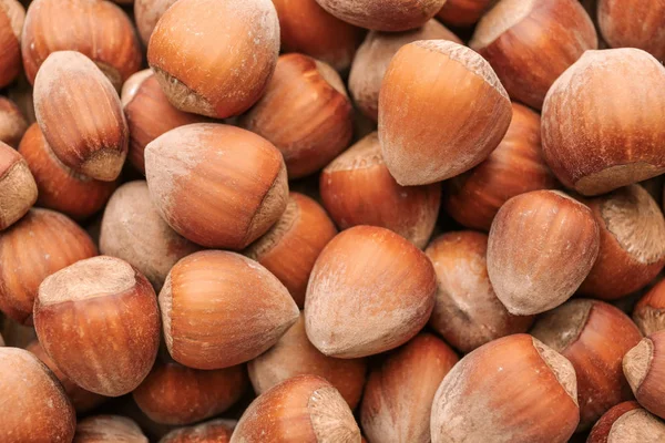 Many tasty hazelnuts as background — ストック写真