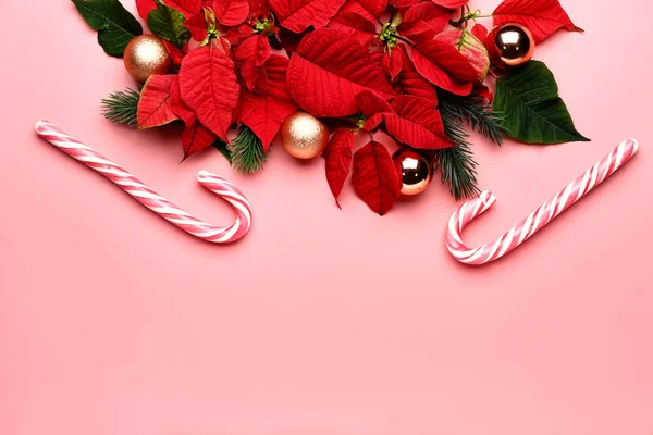 Piękna kompozycja świąteczna z poinsetcją na tle koloru — Zdjęcie stockowe