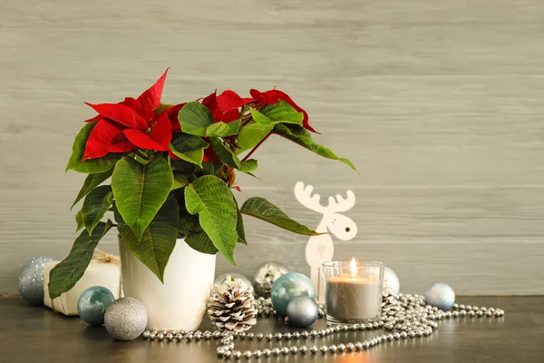 Natal poinsettia planta com decoração na mesa — Fotografia de Stock