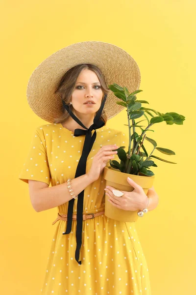 Modieuze jonge vrouw met kamerplant op kleur achtergrond — Stockfoto