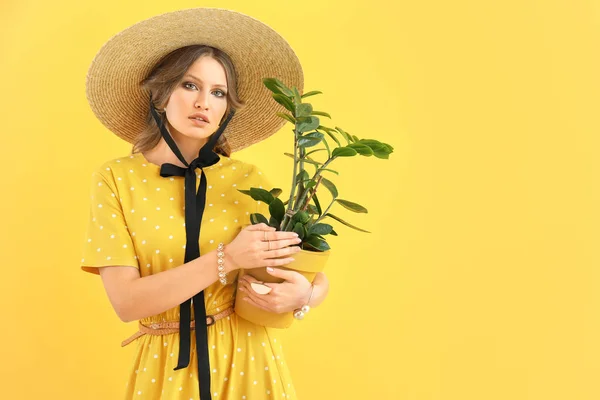 Mulher jovem na moda com planta de sala em fundo de cor — Fotografia de Stock