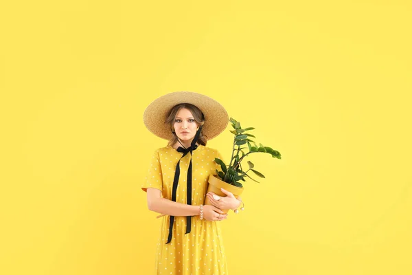 La mujer a la moda joven con la planta de interior sobre el fondo de color —  Fotos de Stock