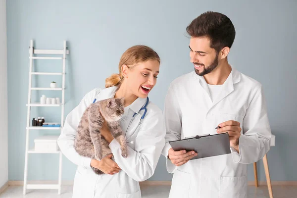 Veterinarians with cute cat in clinic