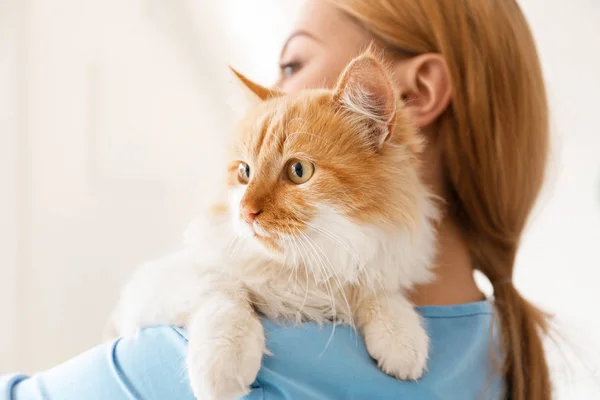 Veterinário feminino com gato bonito na clínica, close-up — Fotografia de Stock