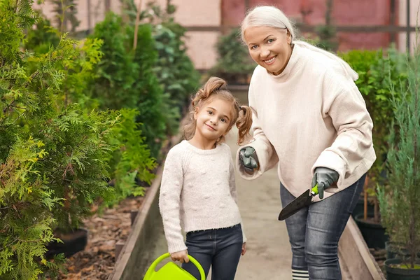 Cute little girl with grandmother in greenhouse — Stock Photo, Image
