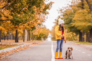 Sonbahar parkında şirin bir av köpeğiyle küçük Asyalı kız.