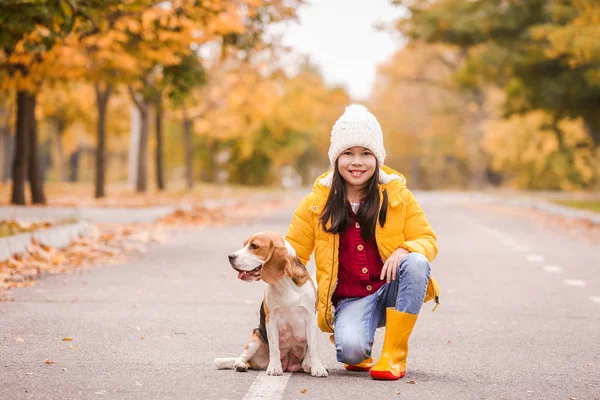 Little Asian girl with cute beagle dog in autumn park — Stock Photo, Image