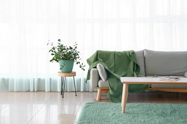 Stylish interior of living room in turquoise color — Stock Photo, Image