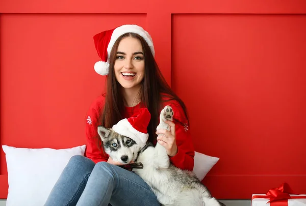 Cute woman with funny husky puppy in Santa Claus hats near color wall — Stock Photo, Image