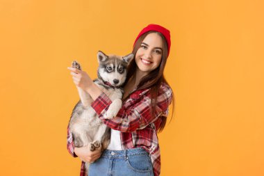 Renkli, komik köpekli şık bir kadın.