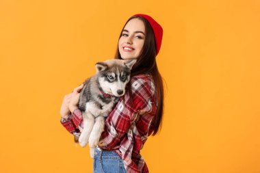 Renkli, komik köpekli şık bir kadın.