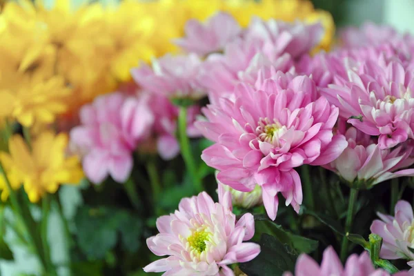 Bouquet of beautiful flowers in shop, closeup — Stock Photo, Image