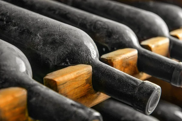 Wooden holder with bottles of wine in cellar, closeup — Stock Photo, Image