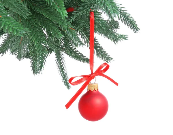 Ramo de árvore de abeto com bola de Natal no fundo branco — Fotografia de Stock