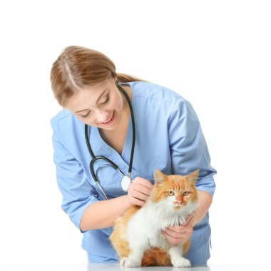 Bayan veteriner beyaz arka planda sevimli kediyi muayene ediyor.