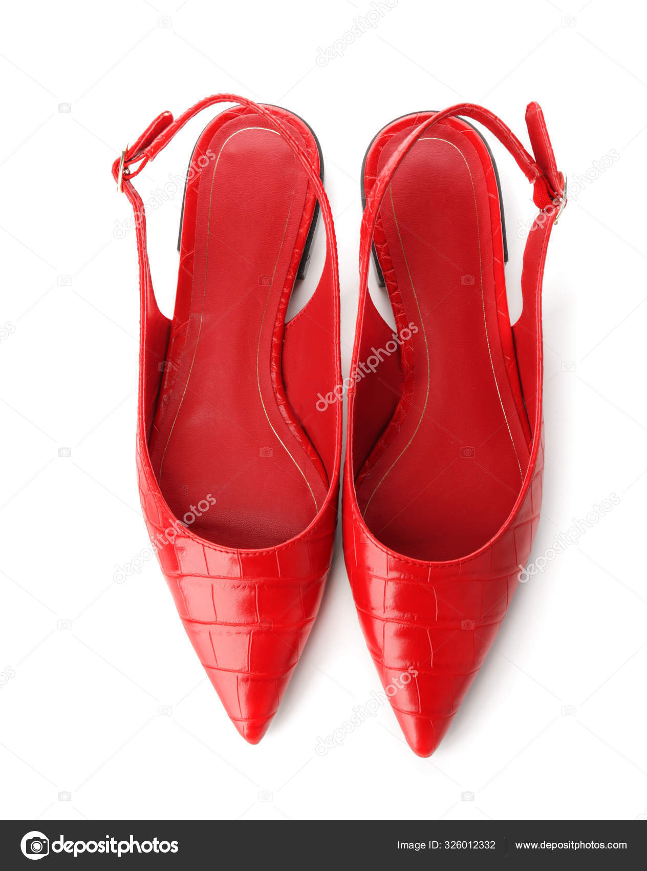 sapatos femininos elegantes