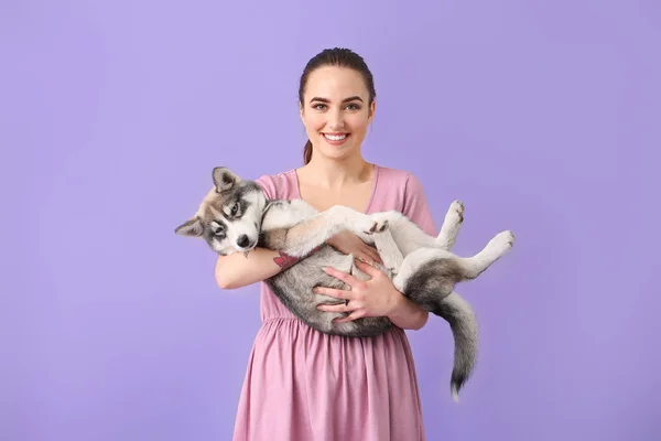 Cute woman with funny husky puppy on color background — Stock Photo, Image