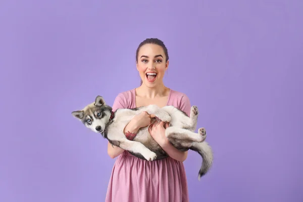 Милая женщина со смешным щенком хаски на цветном фоне — стоковое фото