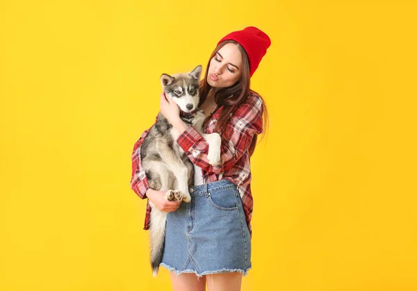 Stylish woman with funny husky puppy on color background — Stock Photo, Image