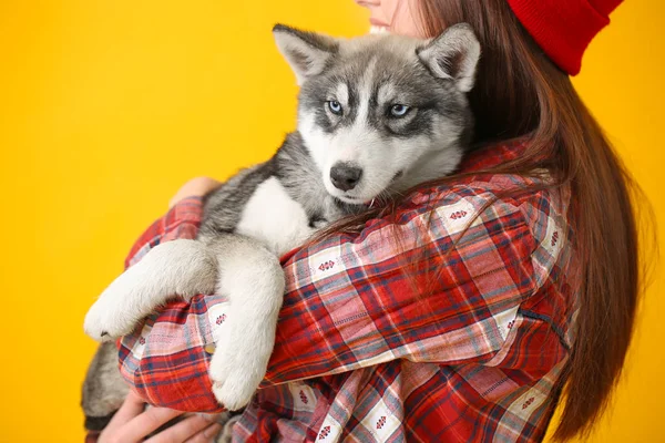 Stilvolle Frau mit lustigen Husky-Welpen auf farbigem Hintergrund — Stockfoto