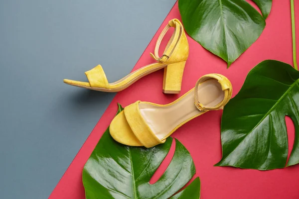 スタイリッシュな女性の靴と熱帯の葉の色の背景 — ストック写真