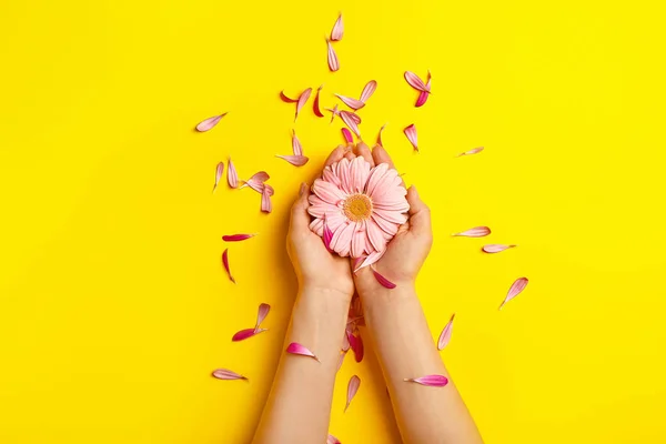 Mani femminili con bel fiore su sfondo a colori — Foto Stock