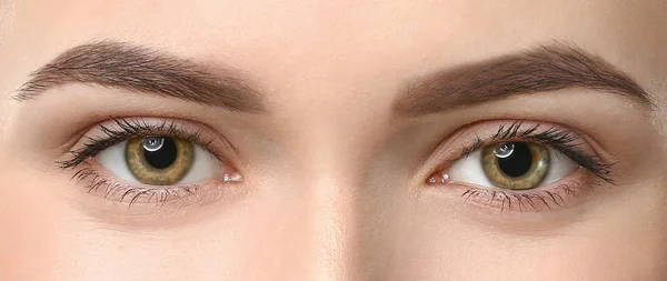Ung kvinna med vackra ögonbryn, närbild — Stockfoto
