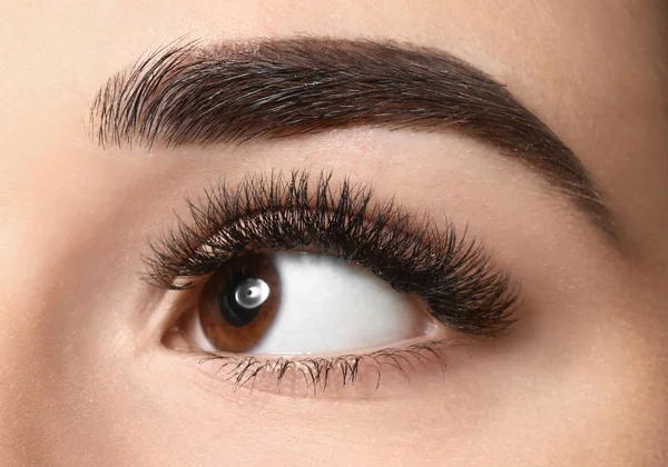 Young woman with beautiful eyebrows, closeup — Stock Photo, Image