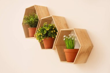 Işık duvarında bitkiler asılı raflar.