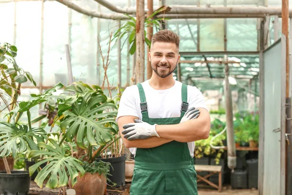 Guapo jardinero masculino en invernadero — Foto de Stock