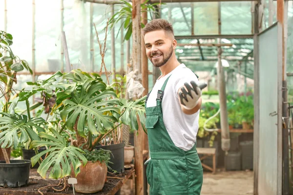 Guapo jardinero masculino en invernadero — Foto de Stock