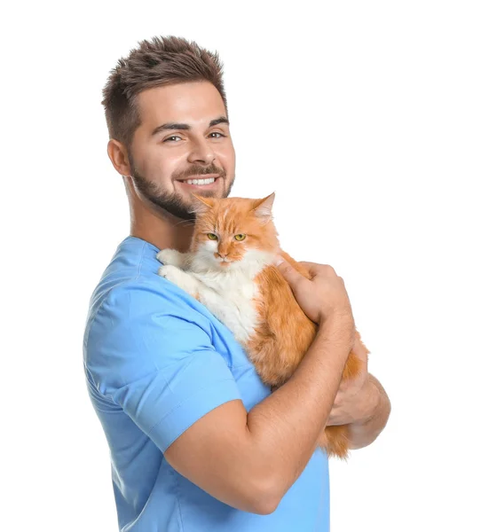 Male veterinarian with cute cat on white background