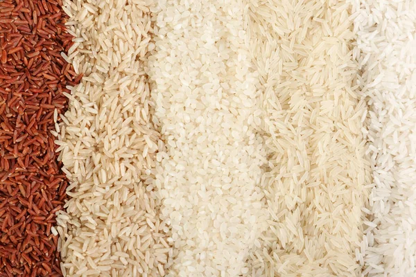 Arkaplan olarak farklı ham pirinç — Stok fotoğraf