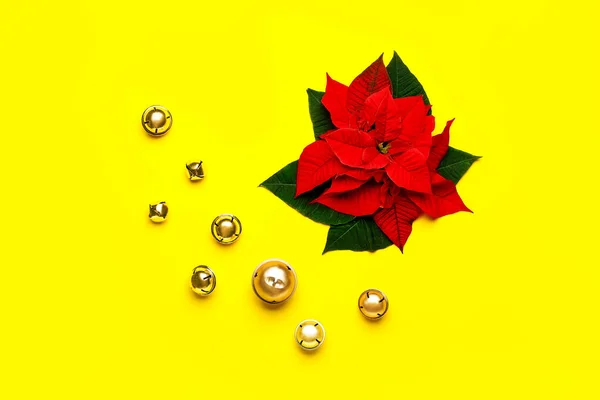 Hermosa composición de Navidad con poinsettia sobre fondo de color —  Fotos de Stock