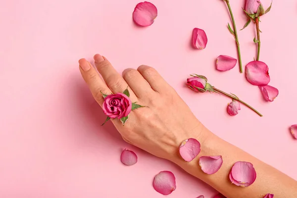Female hand with beautiful rose flowers on color background — Stock Photo, Image