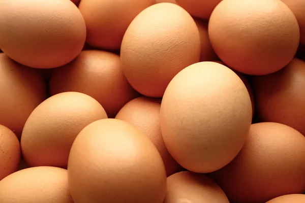 Verse eieren als achtergrond, close-up — Stockfoto