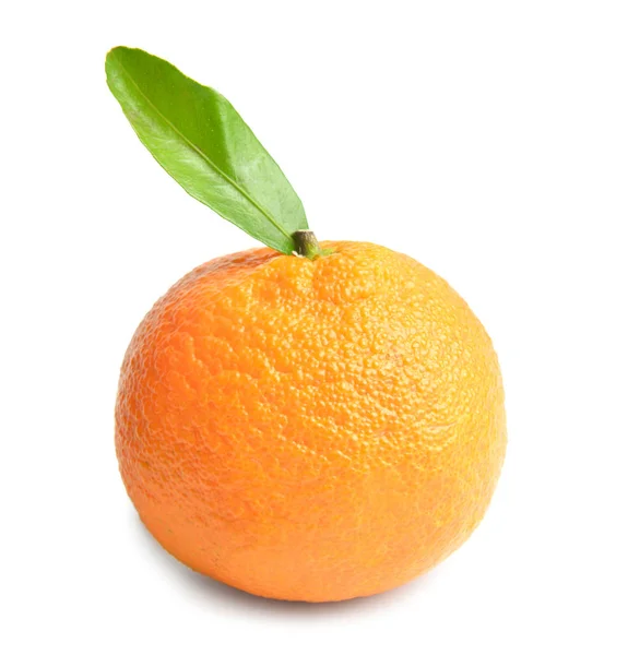 Söt mandarin på vit bakgrund — Stockfoto